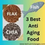 3 Best Anti Aging Food